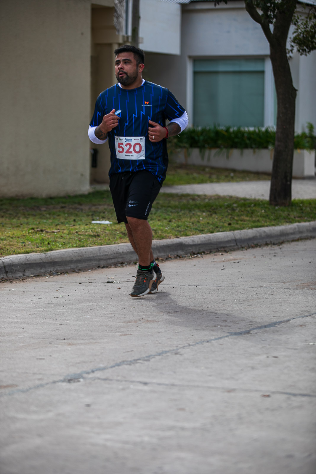Foto Dorsal 520