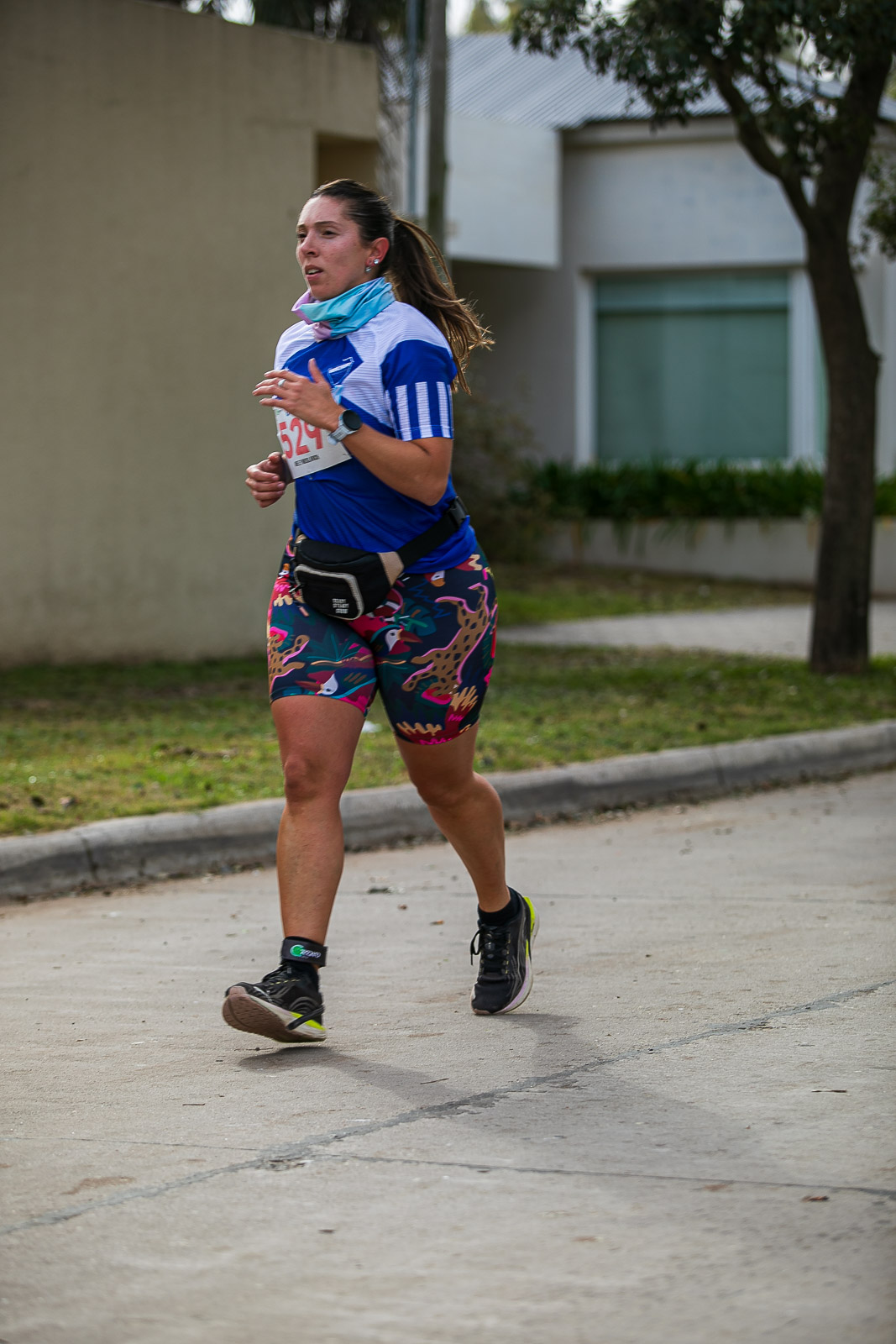 Foto Dorsal 529