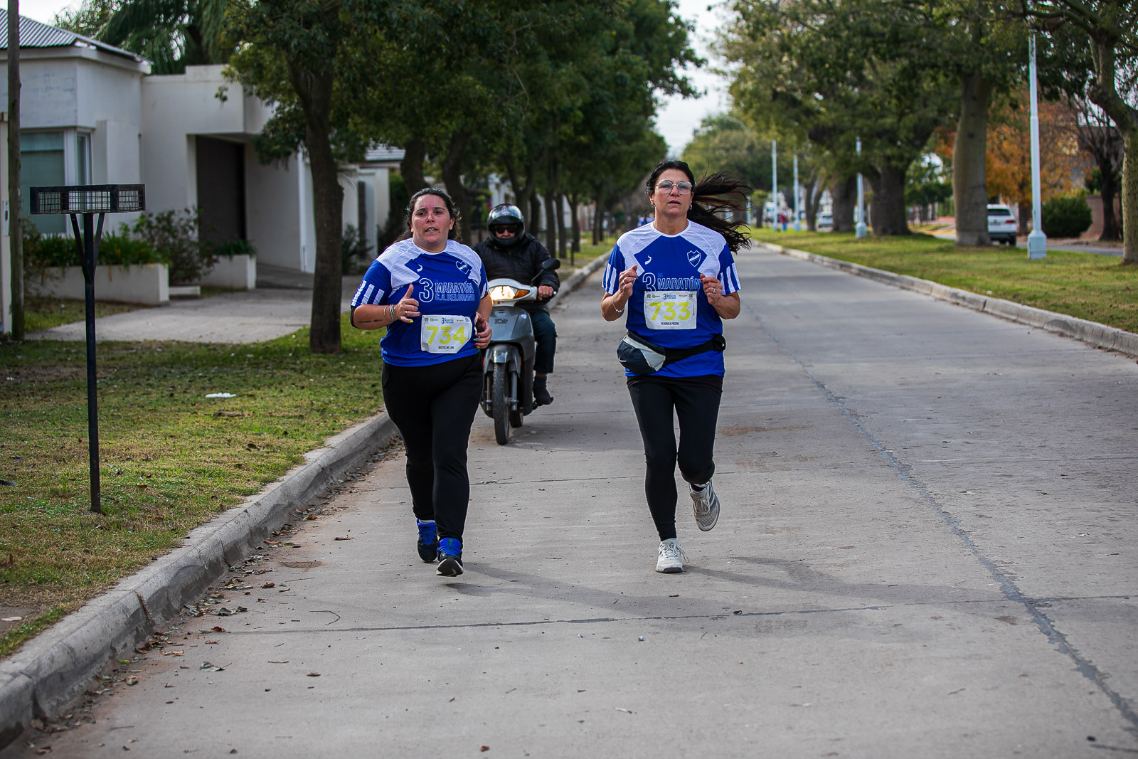 Foto Dorsal 733