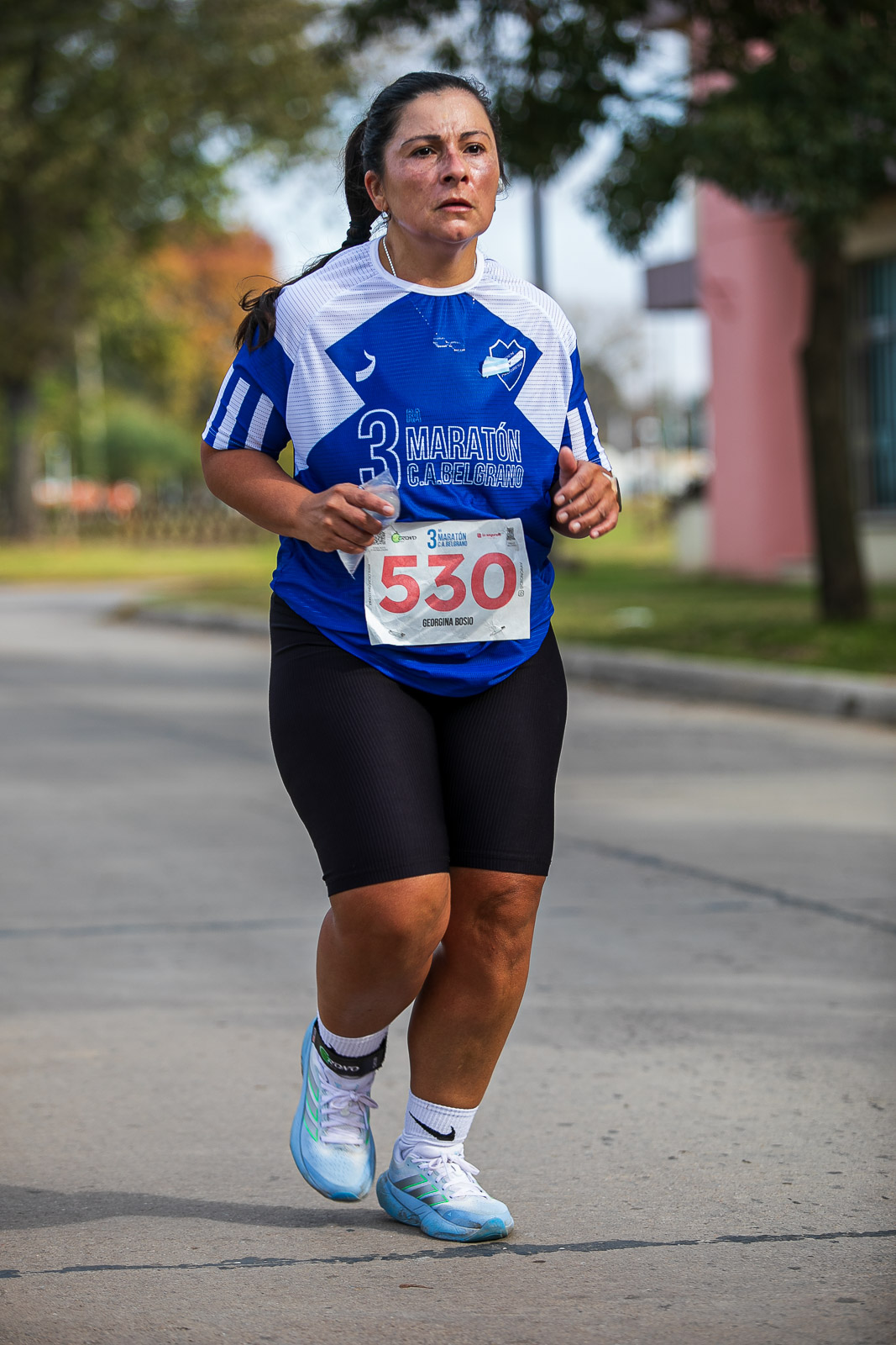 Foto Dorsal 530