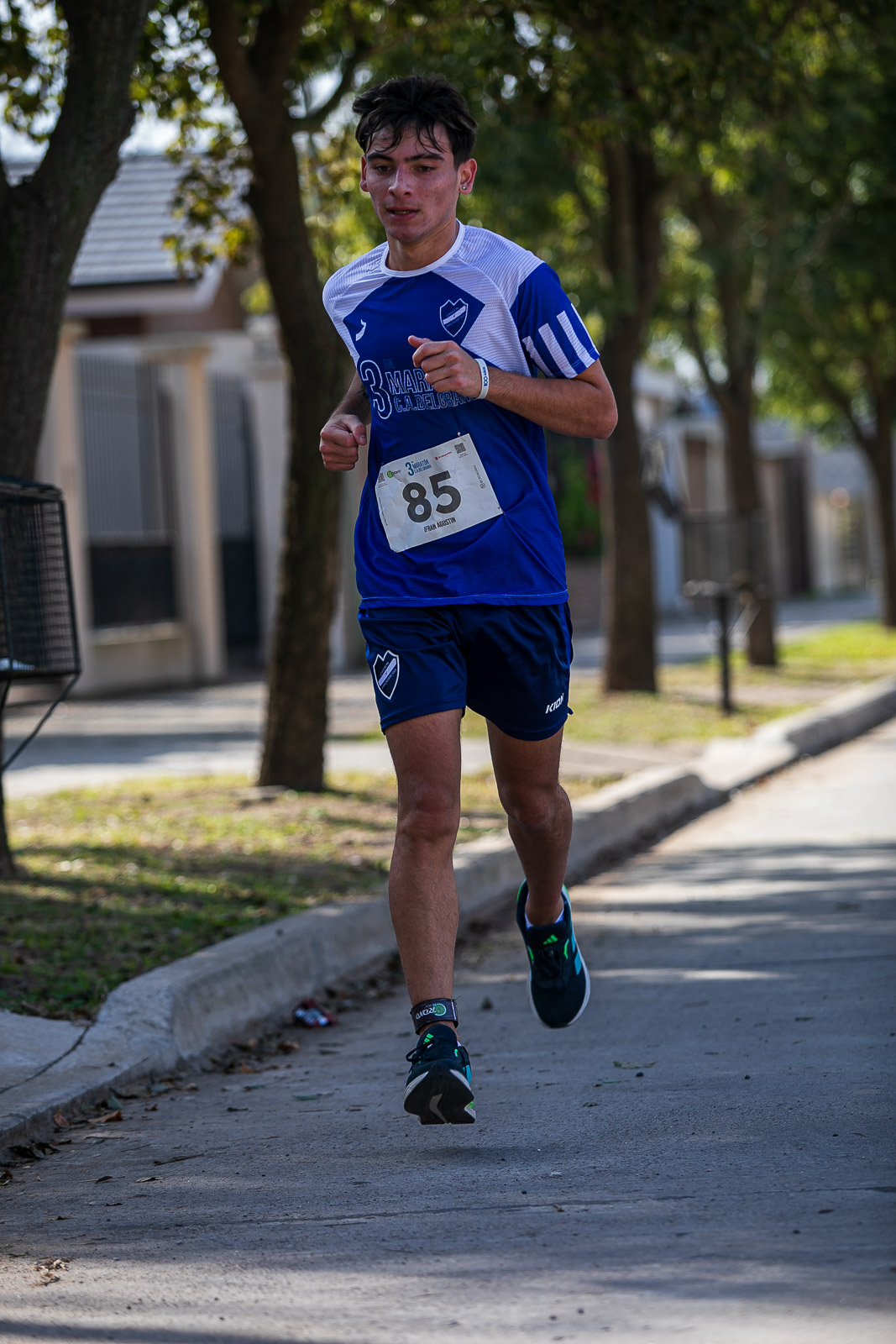 Foto Dorsal 85