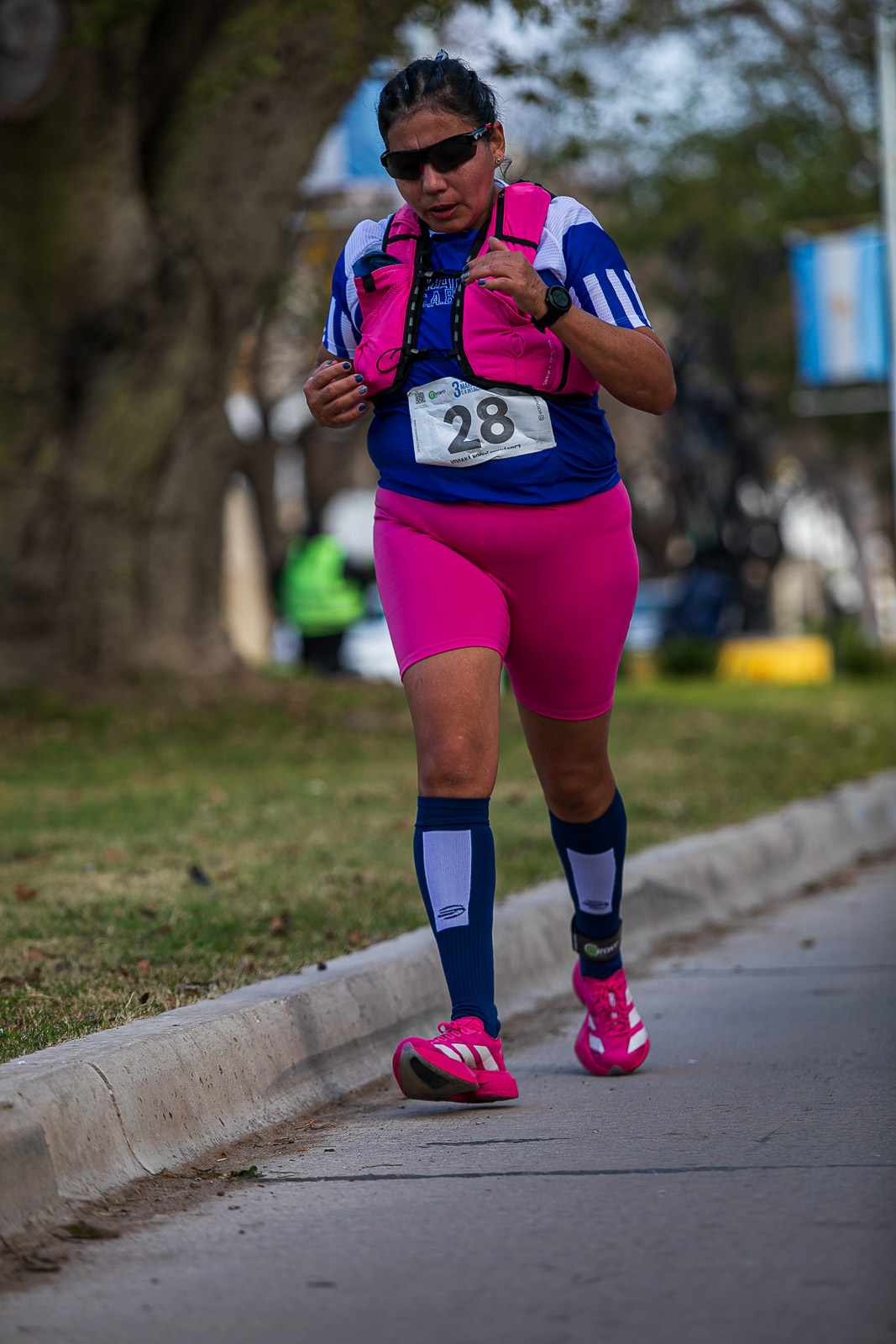 Foto Dorsal 28