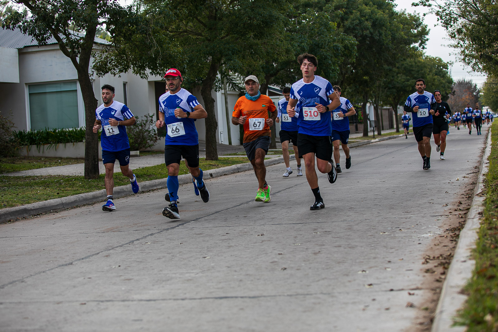 Foto Dorsal 510