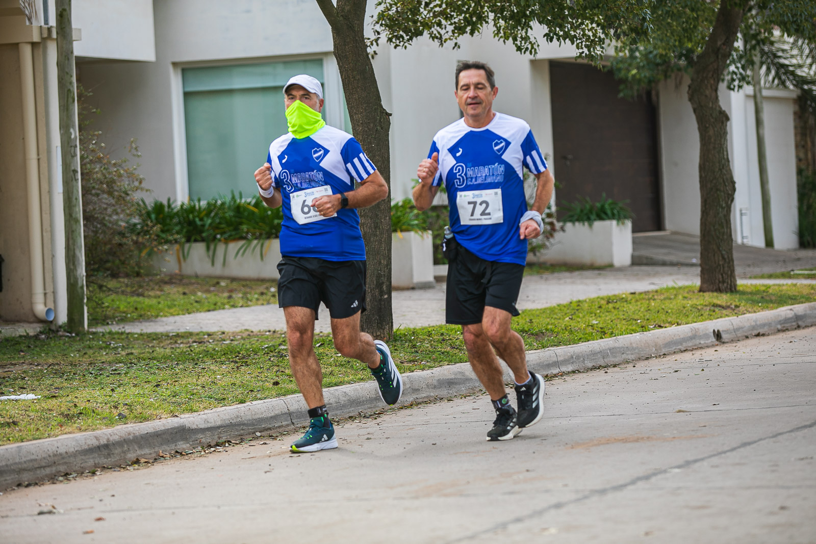 Foto Dorsal 72