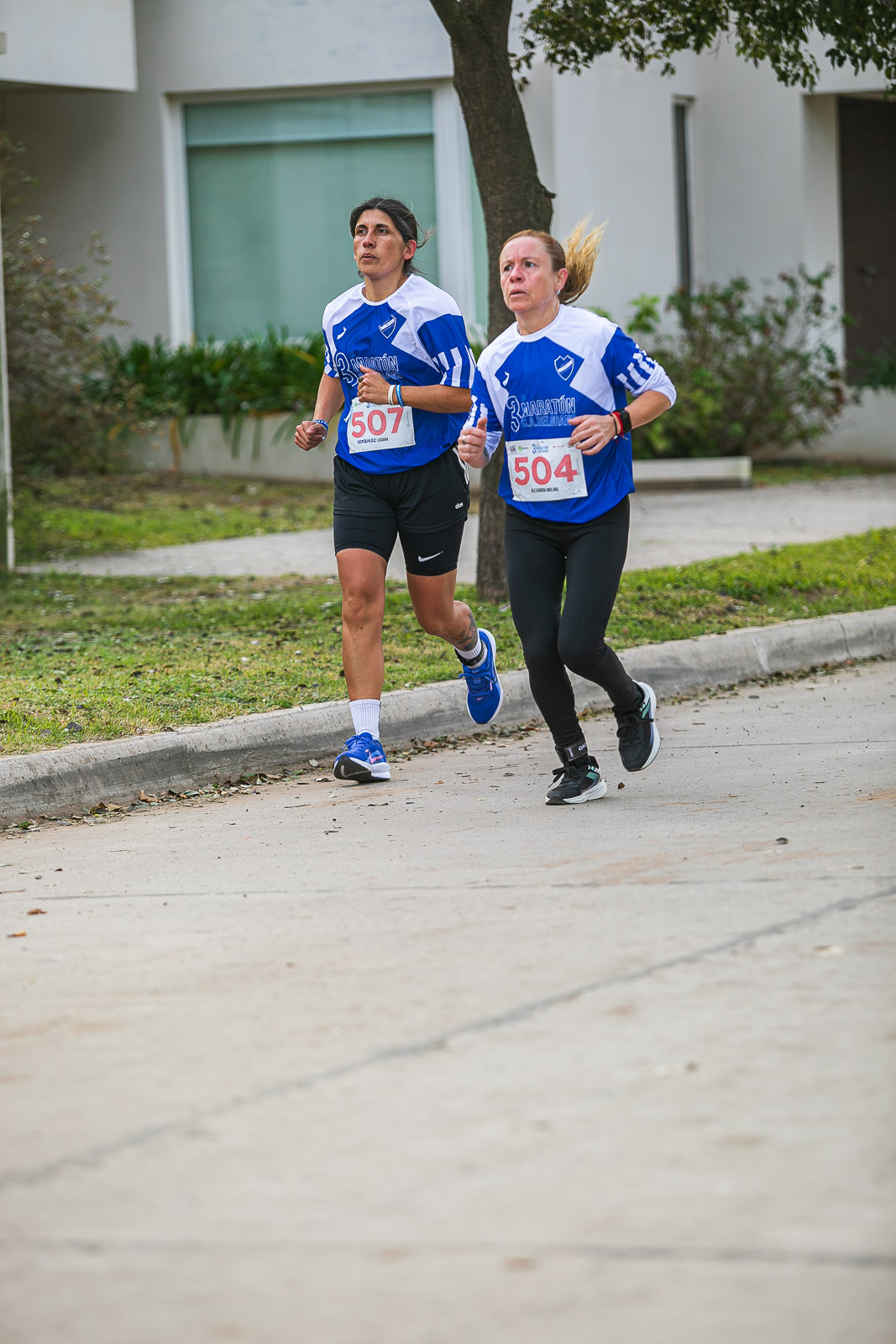 Foto Dorsal 504