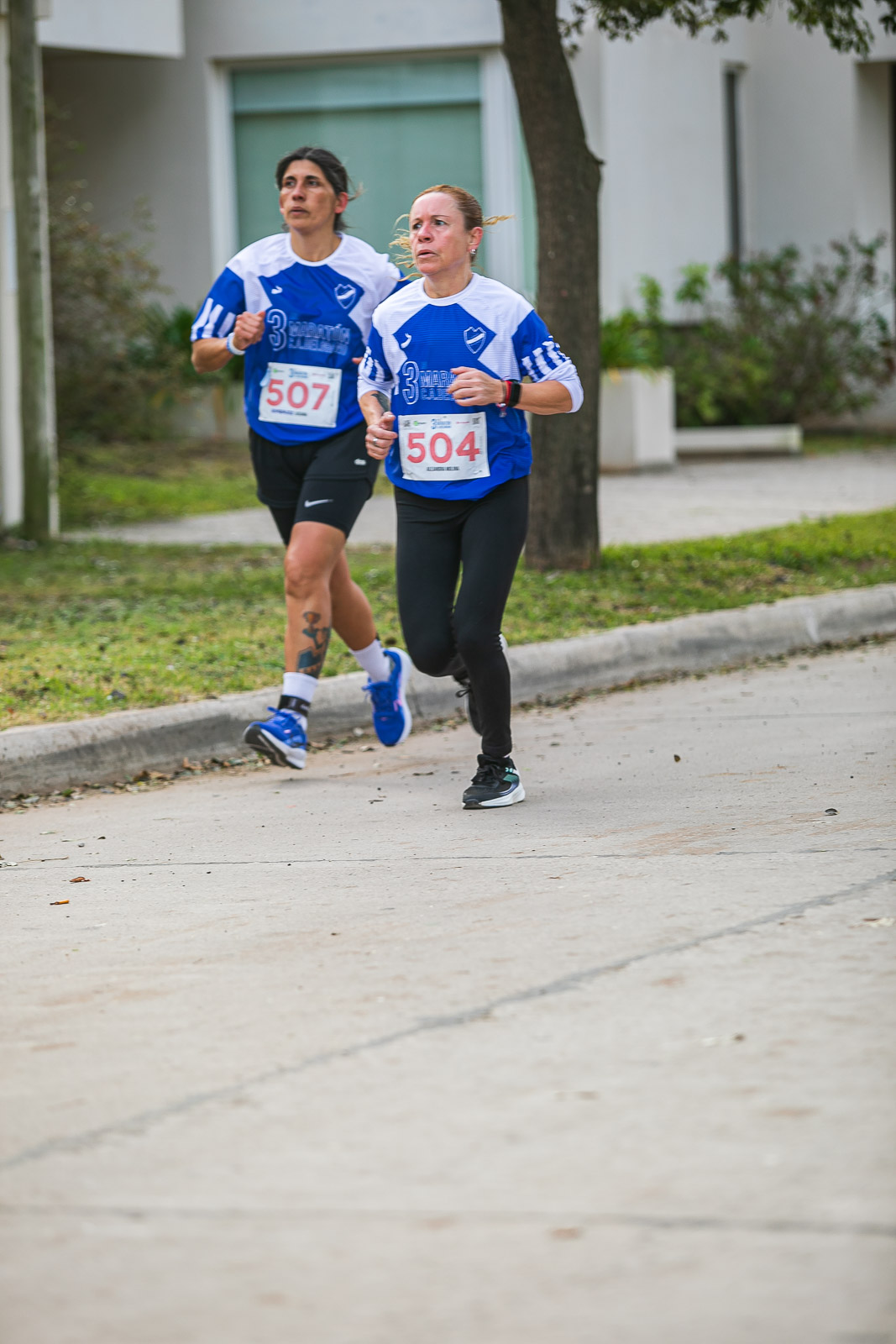 Foto Dorsal 504