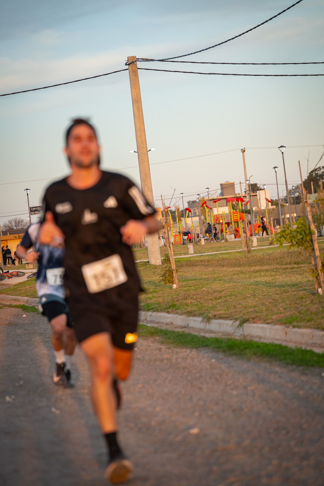 Foto Dorsal 151
