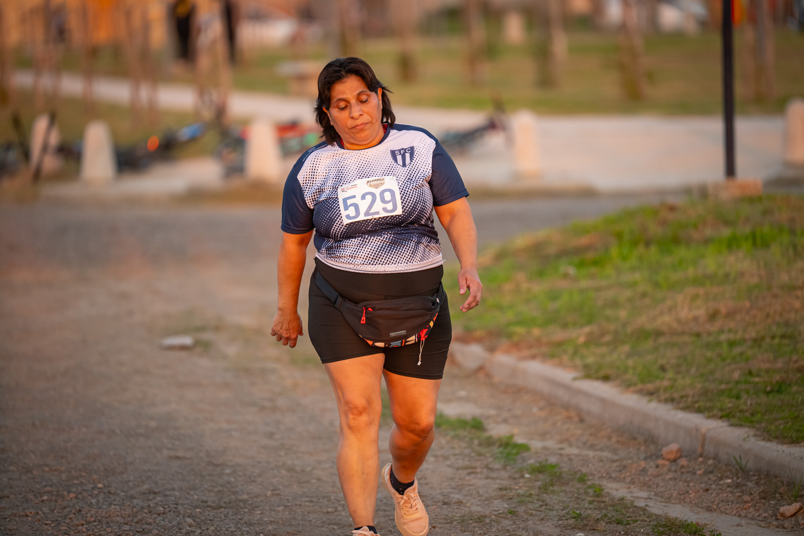 Foto Dorsal 529