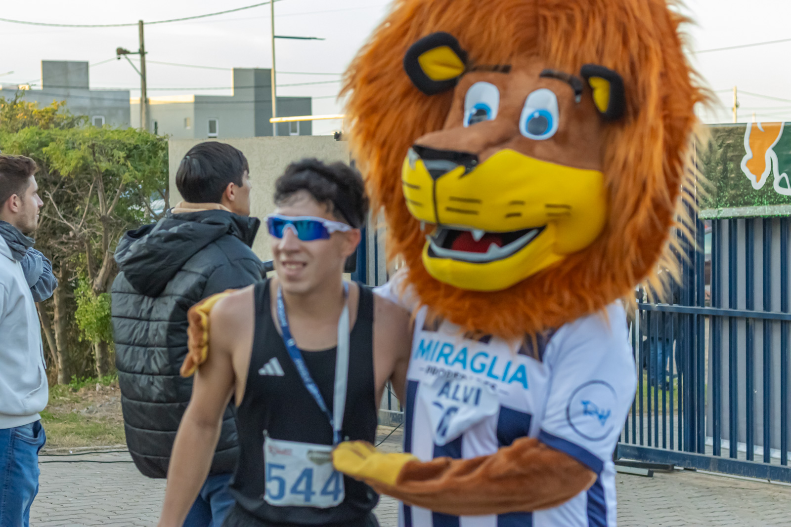 Foto Dorsal 544