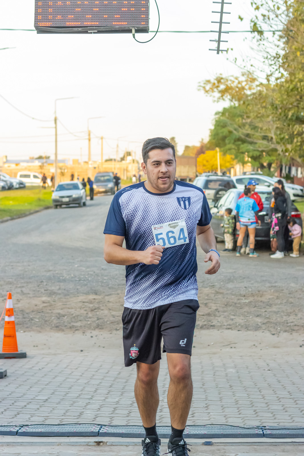 Foto Dorsal 564