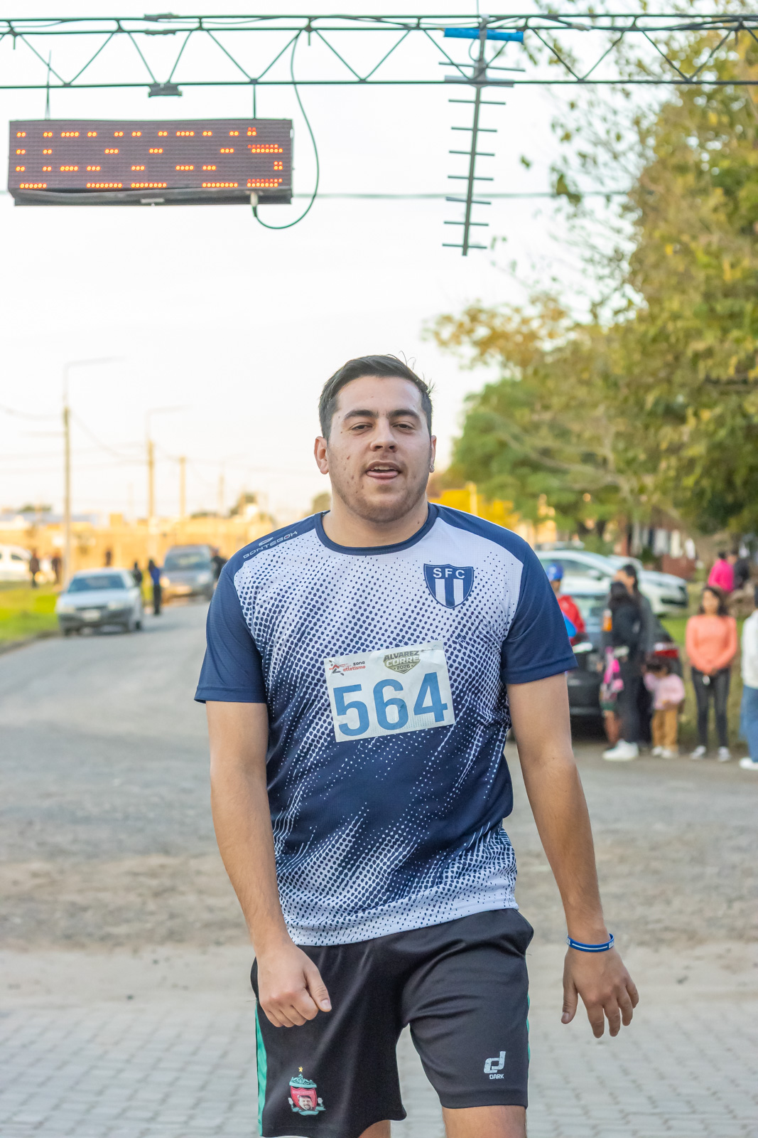Foto Dorsal 564