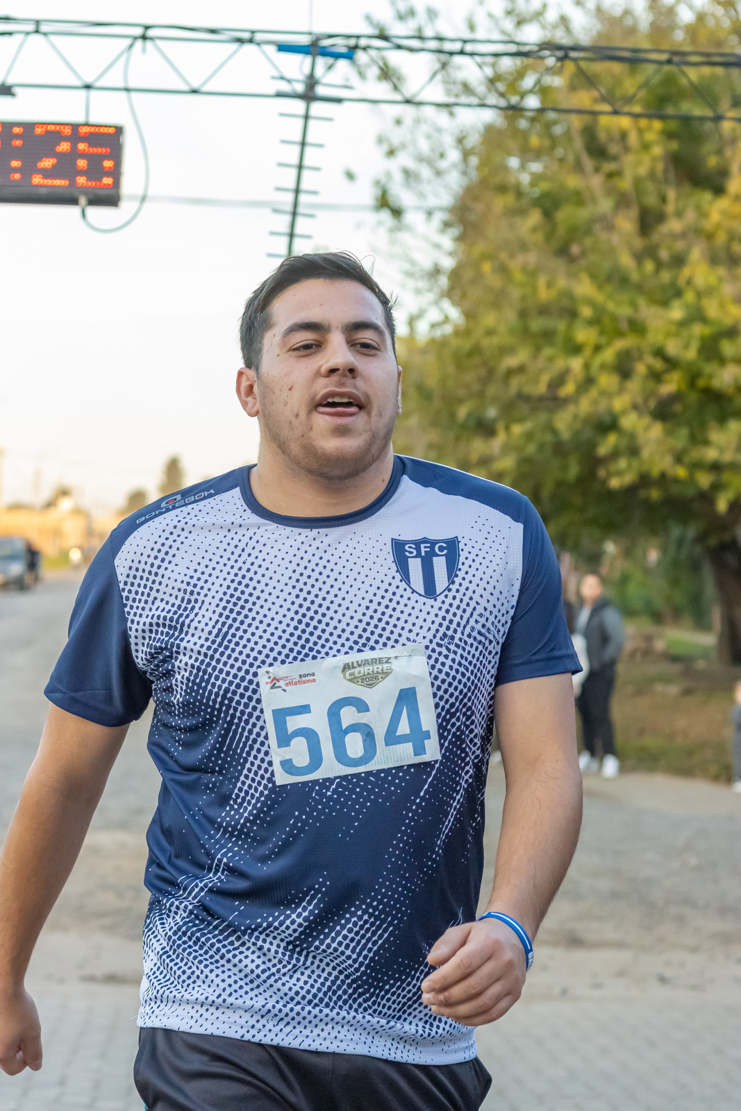 Foto Dorsal 564