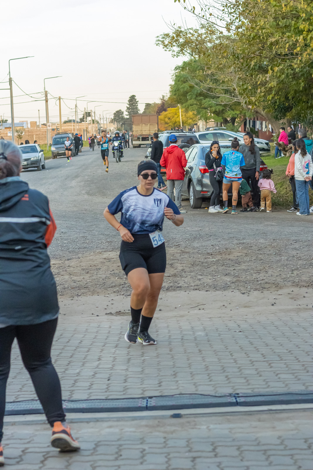 Foto Dorsal 549