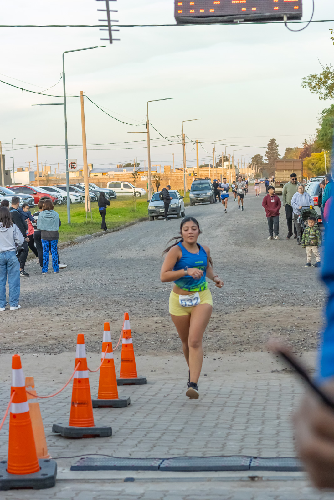 Foto Dorsal 532
