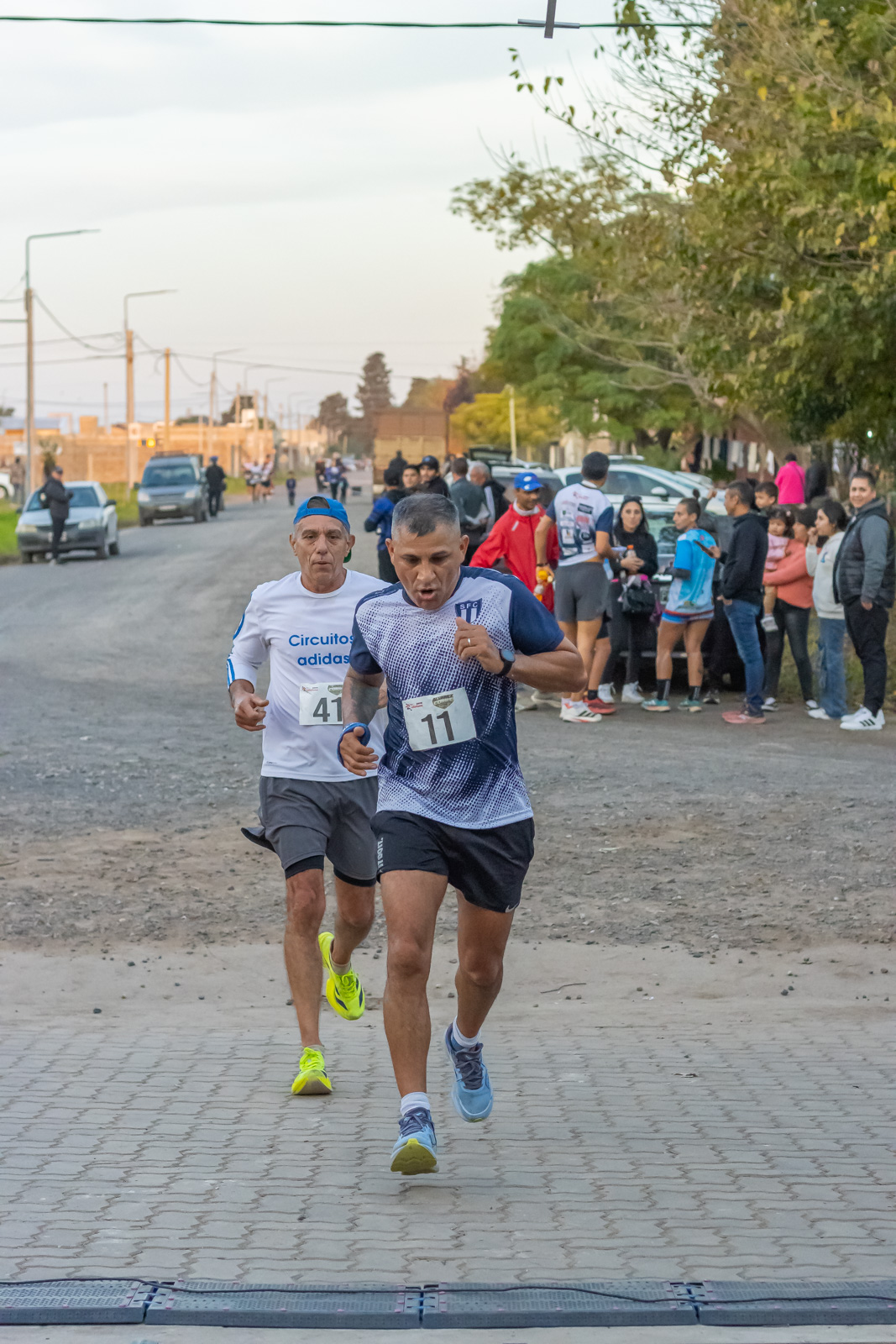 Foto Dorsal 11