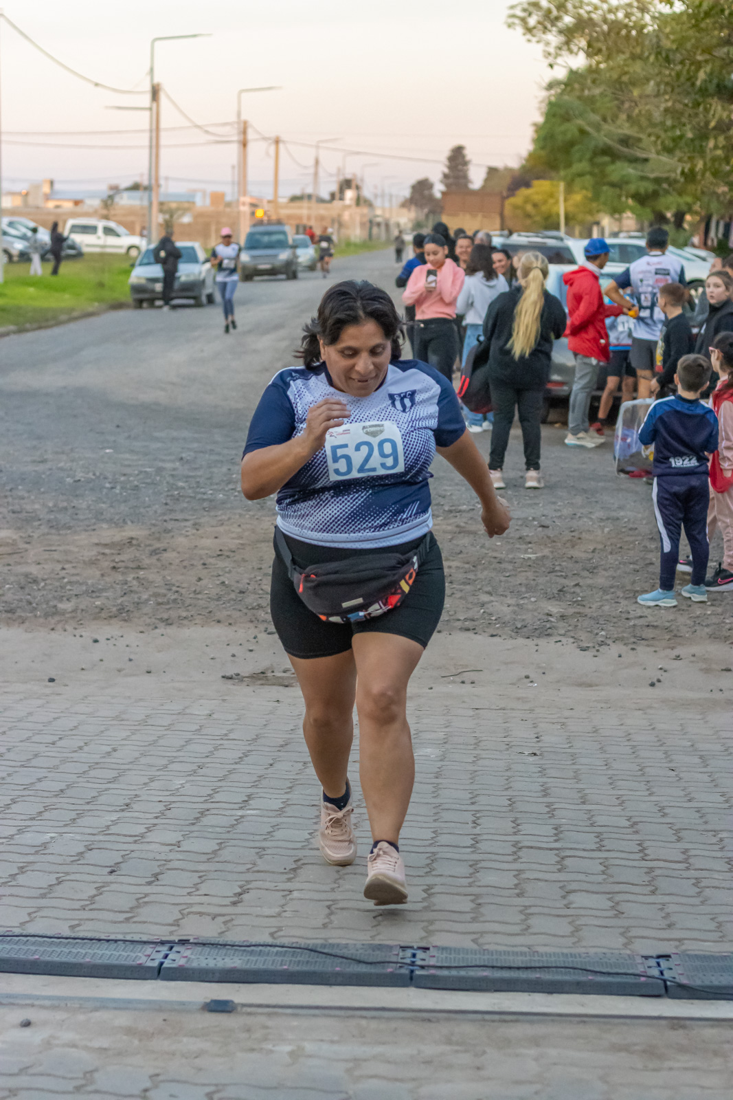 Foto Dorsal 529