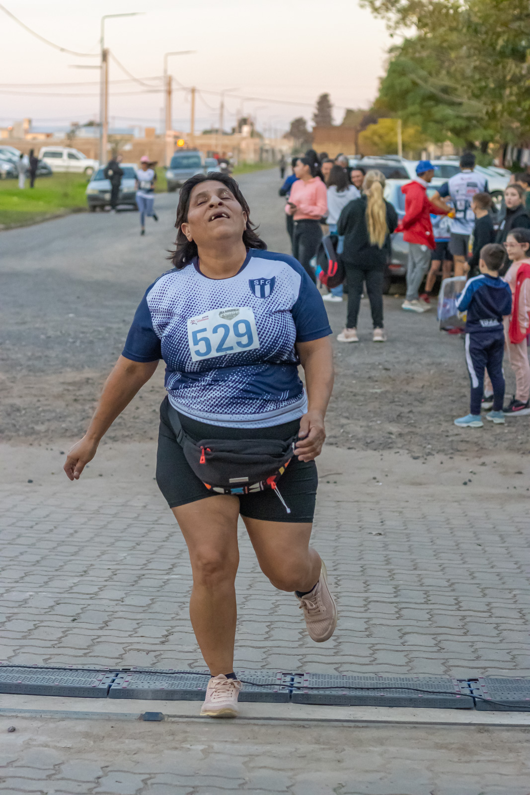 Foto Dorsal 529