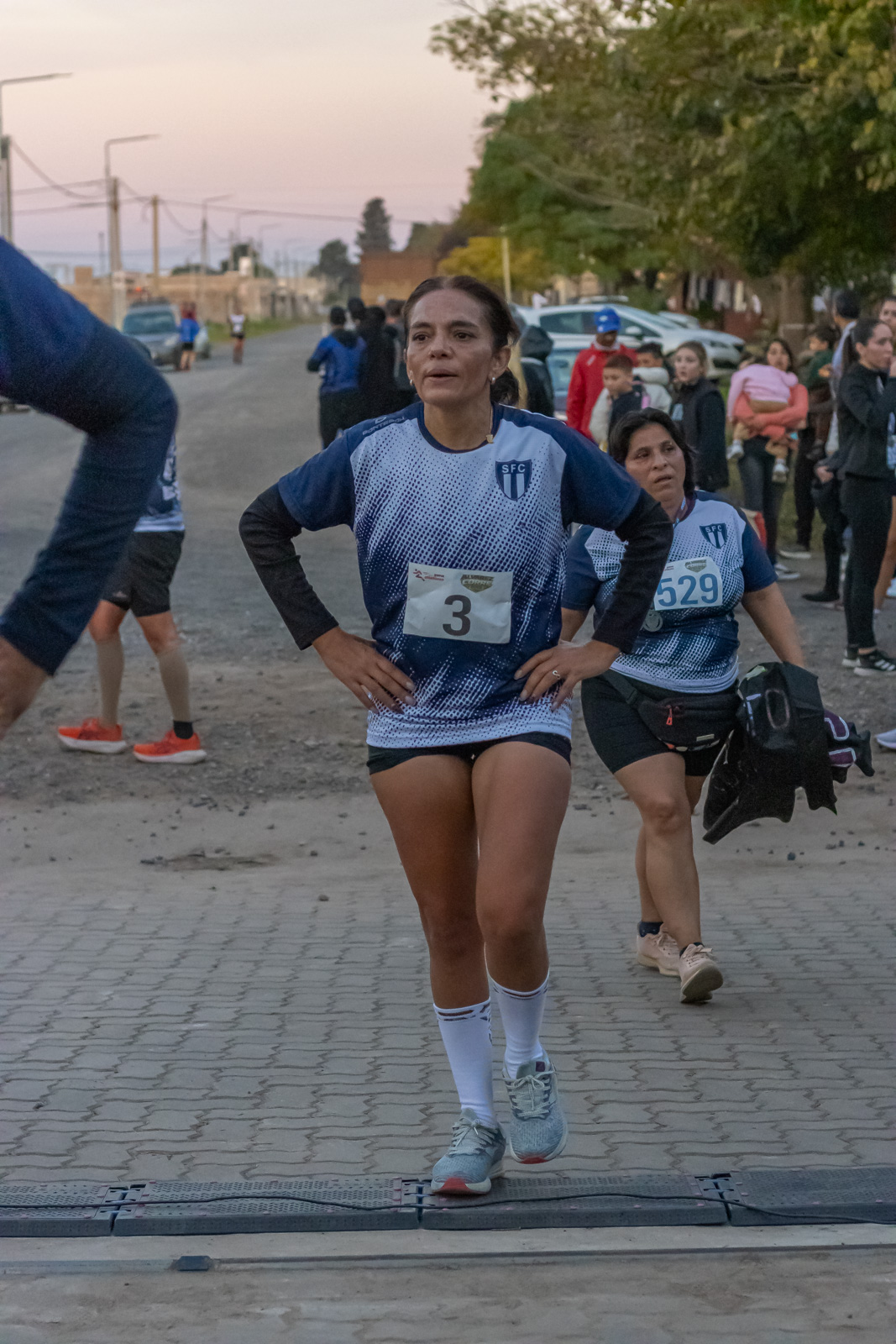 Foto Dorsal 529