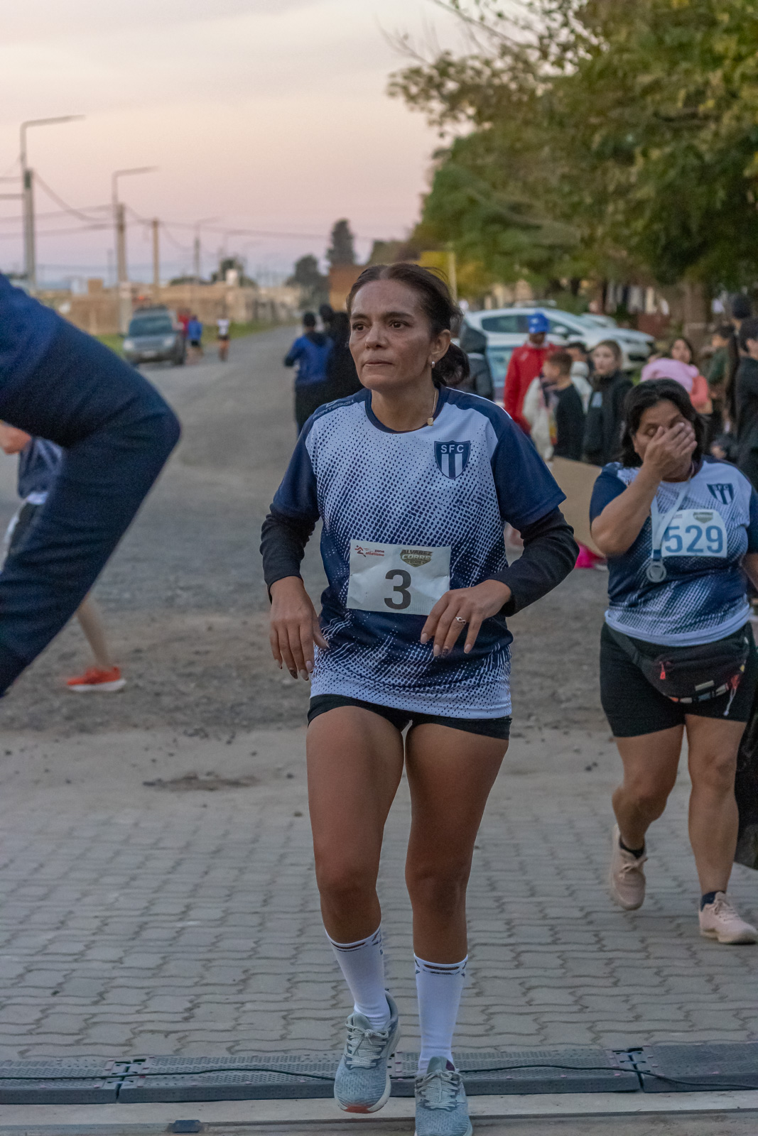 Foto Dorsal 529