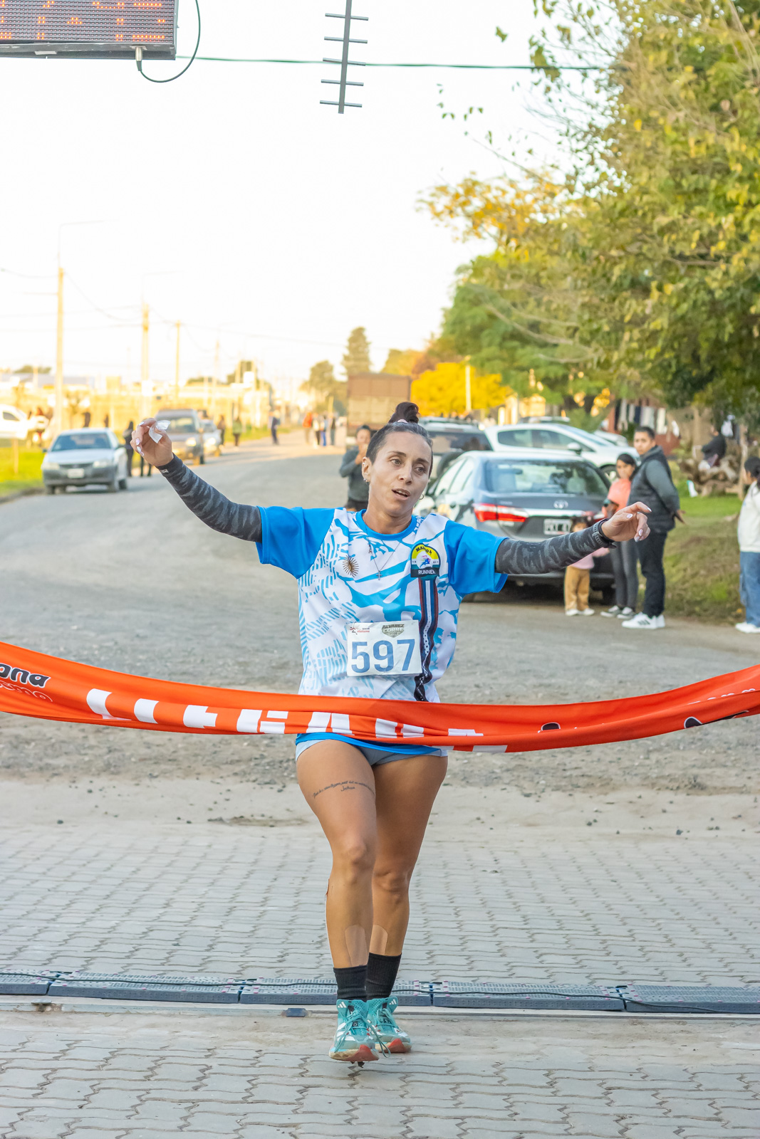 Foto Dorsal 597