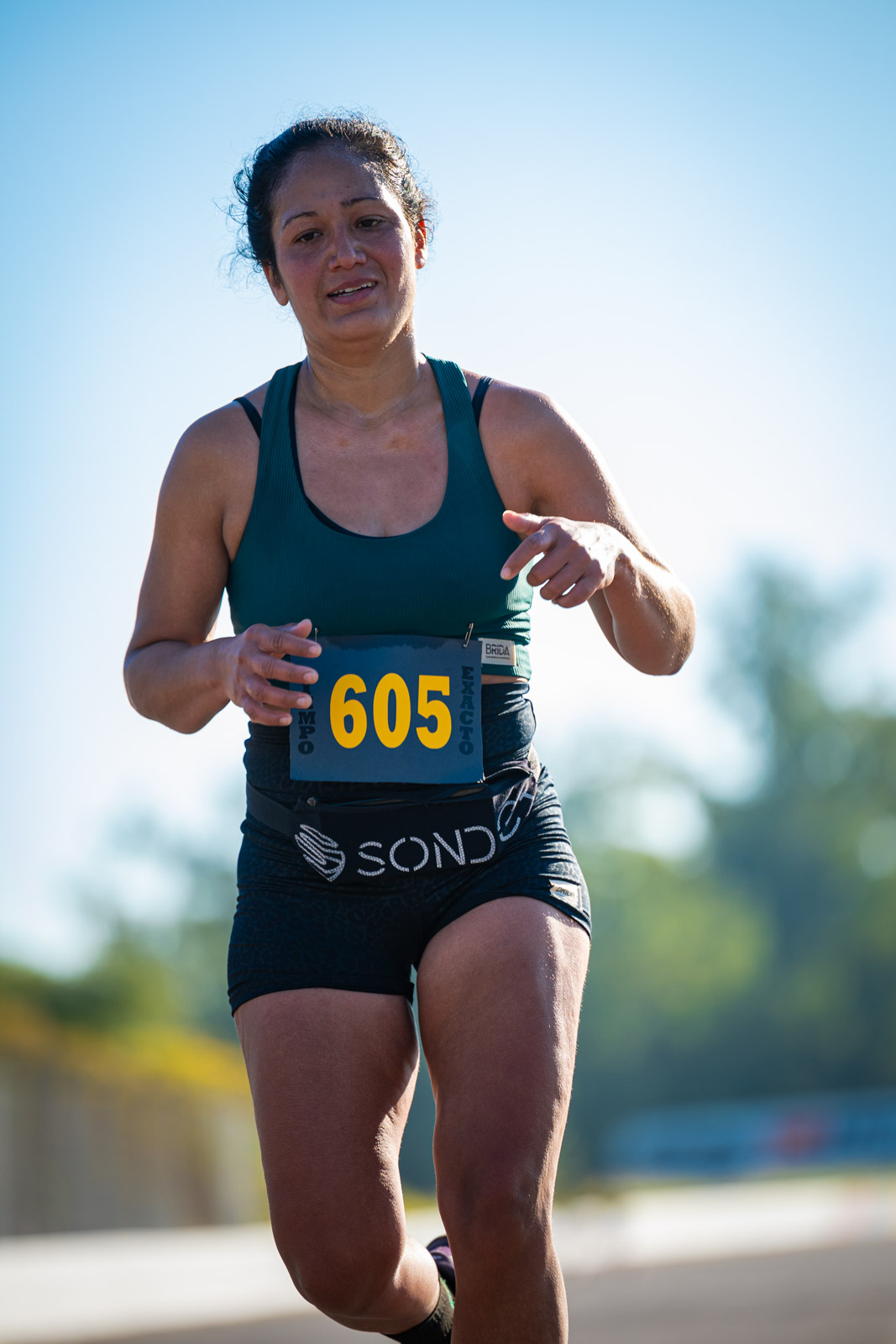 Foto Dorsal 605