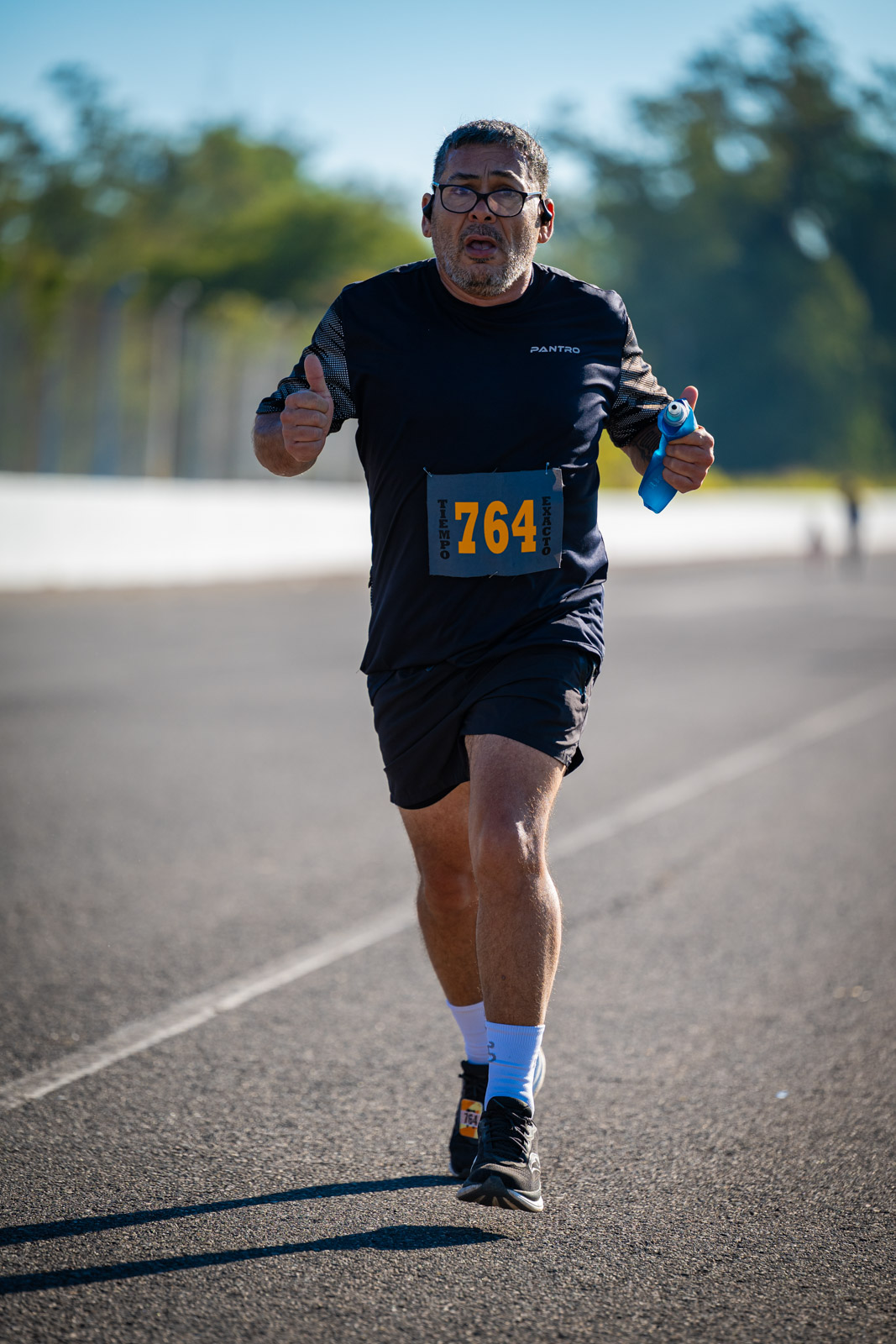 Foto Dorsal 764
