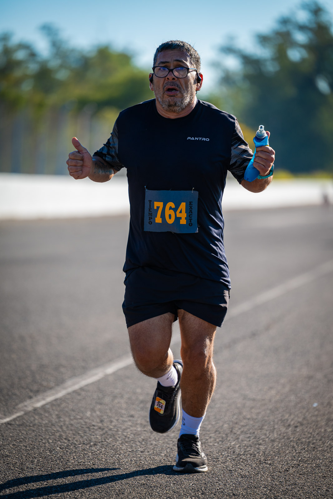 Foto Dorsal 764