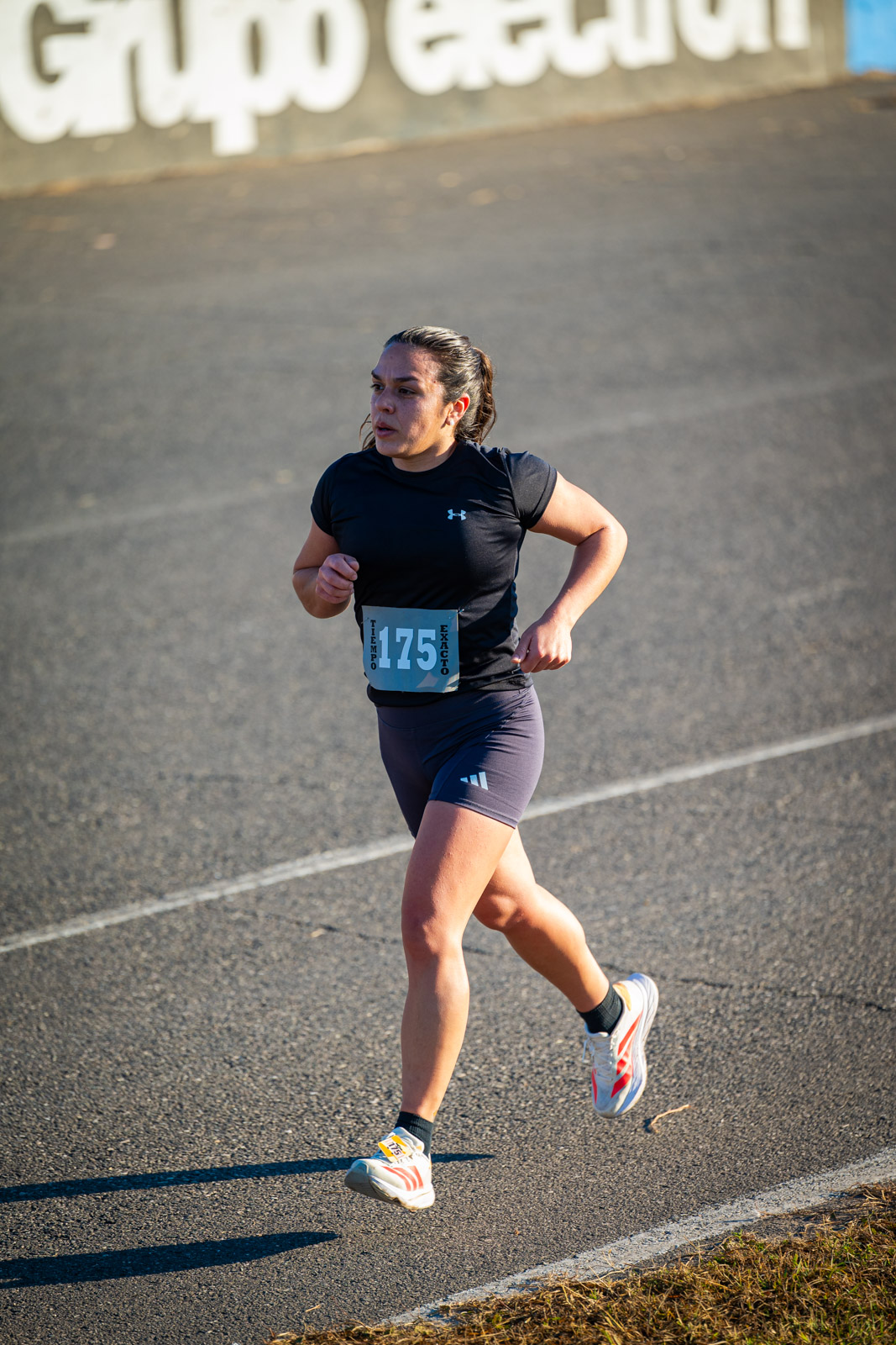 Foto Dorsal 175