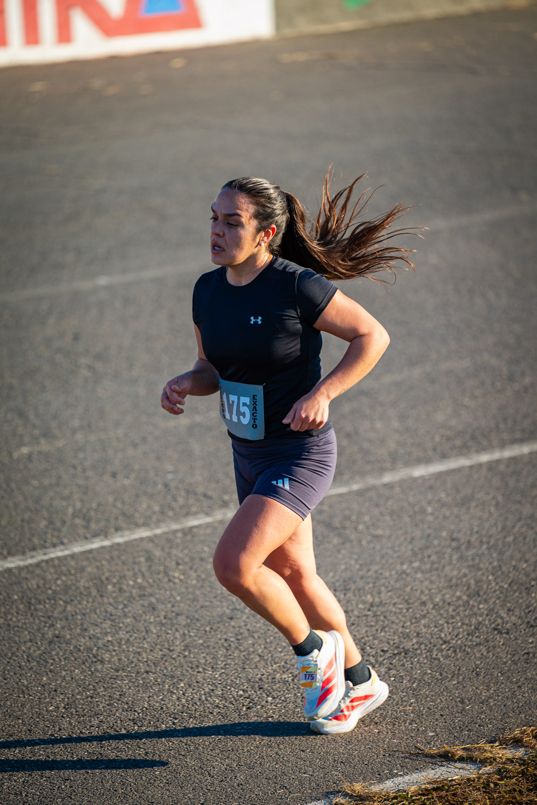 Foto Dorsal 175