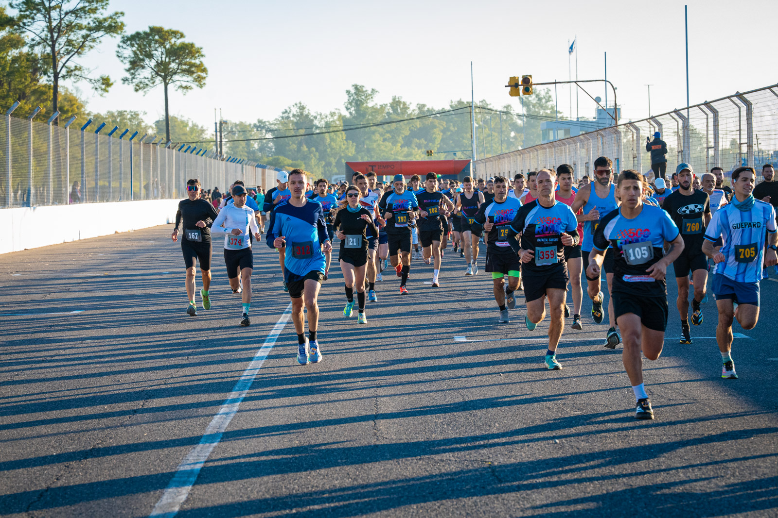 Foto Dorsal 705