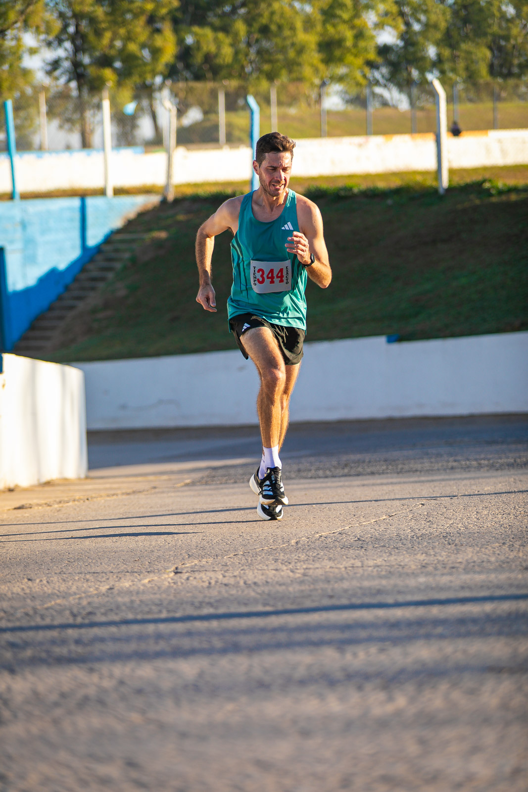 Foto Dorsal 344