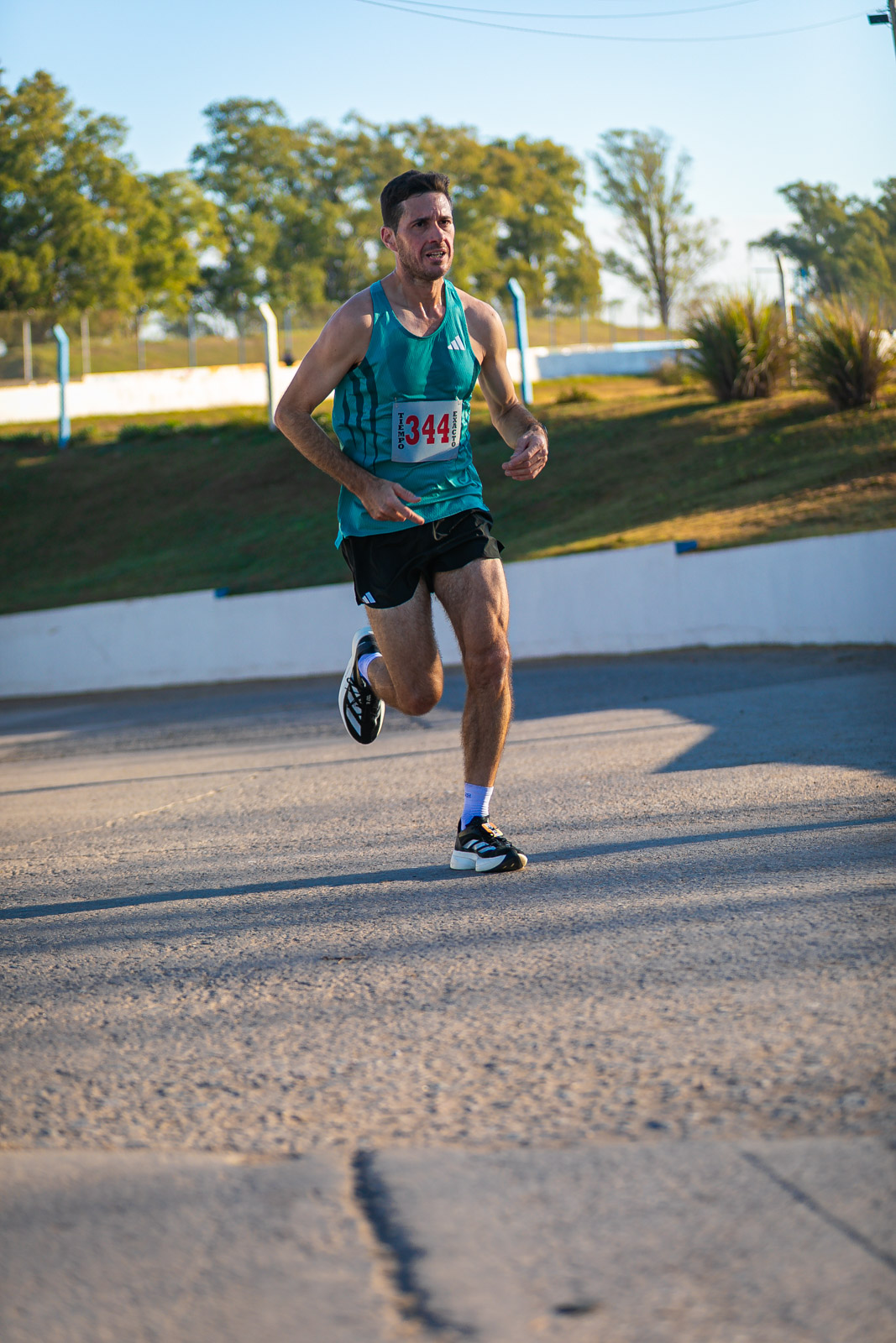 Foto Dorsal 344