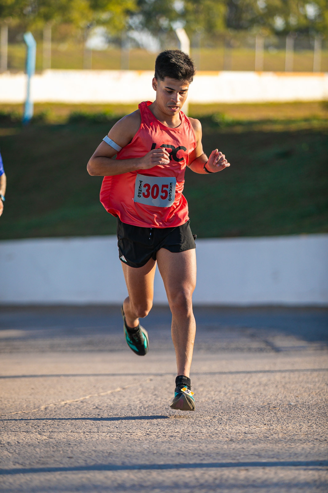 Foto Dorsal 305