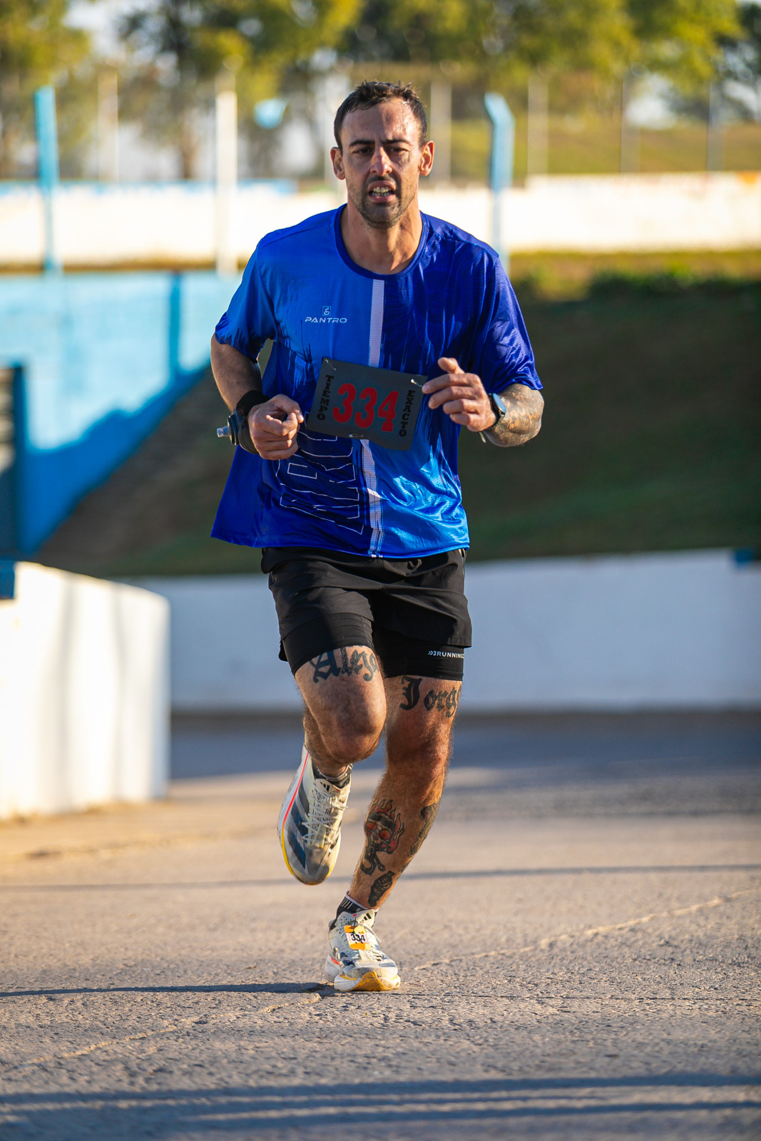 Foto Dorsal 334