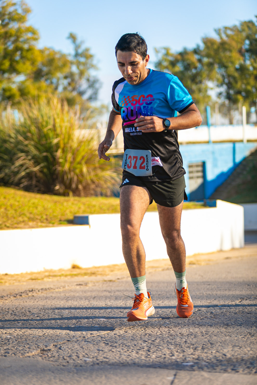 Foto Dorsal 372