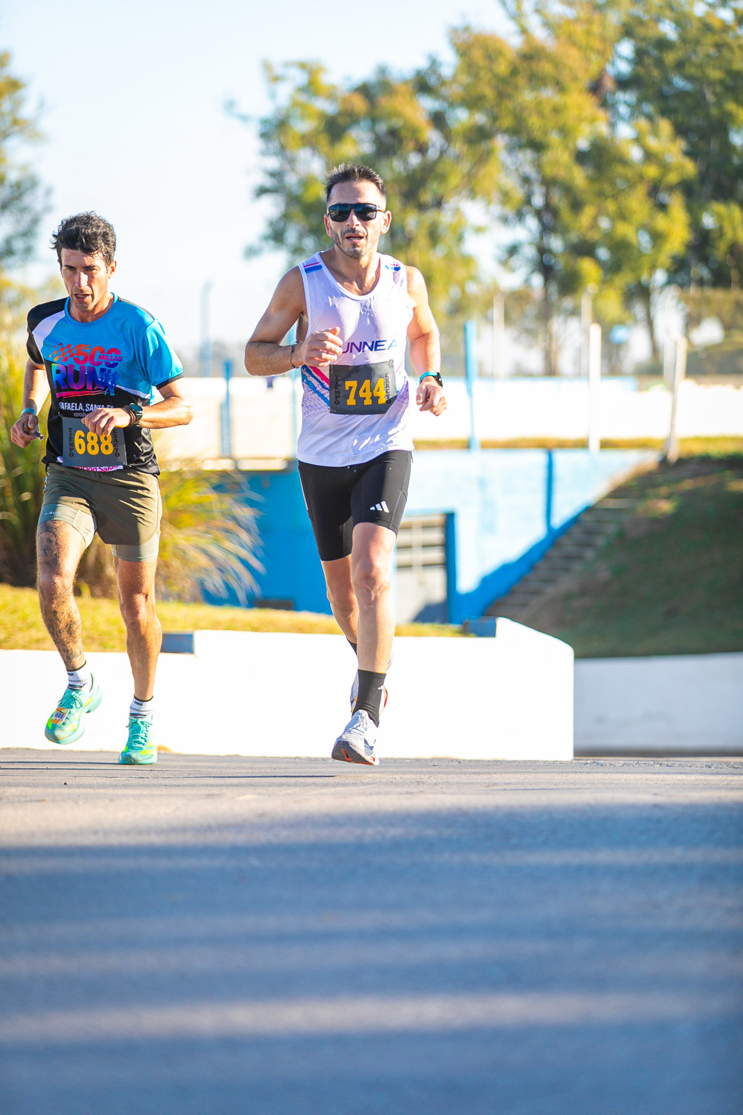 Foto Dorsal 688