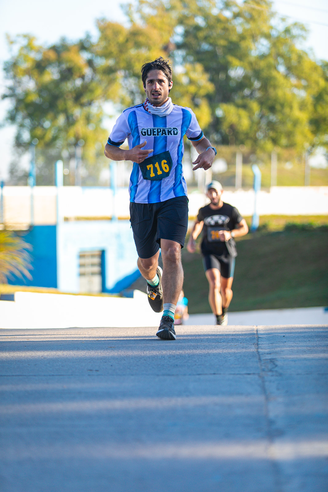 Foto Dorsal 716