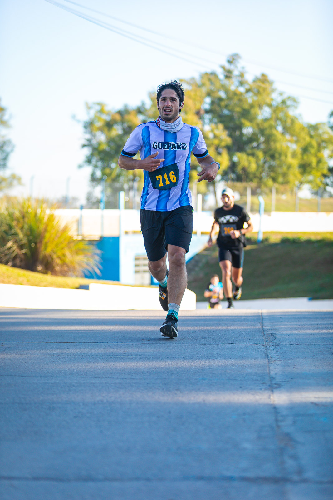 Foto Dorsal 716