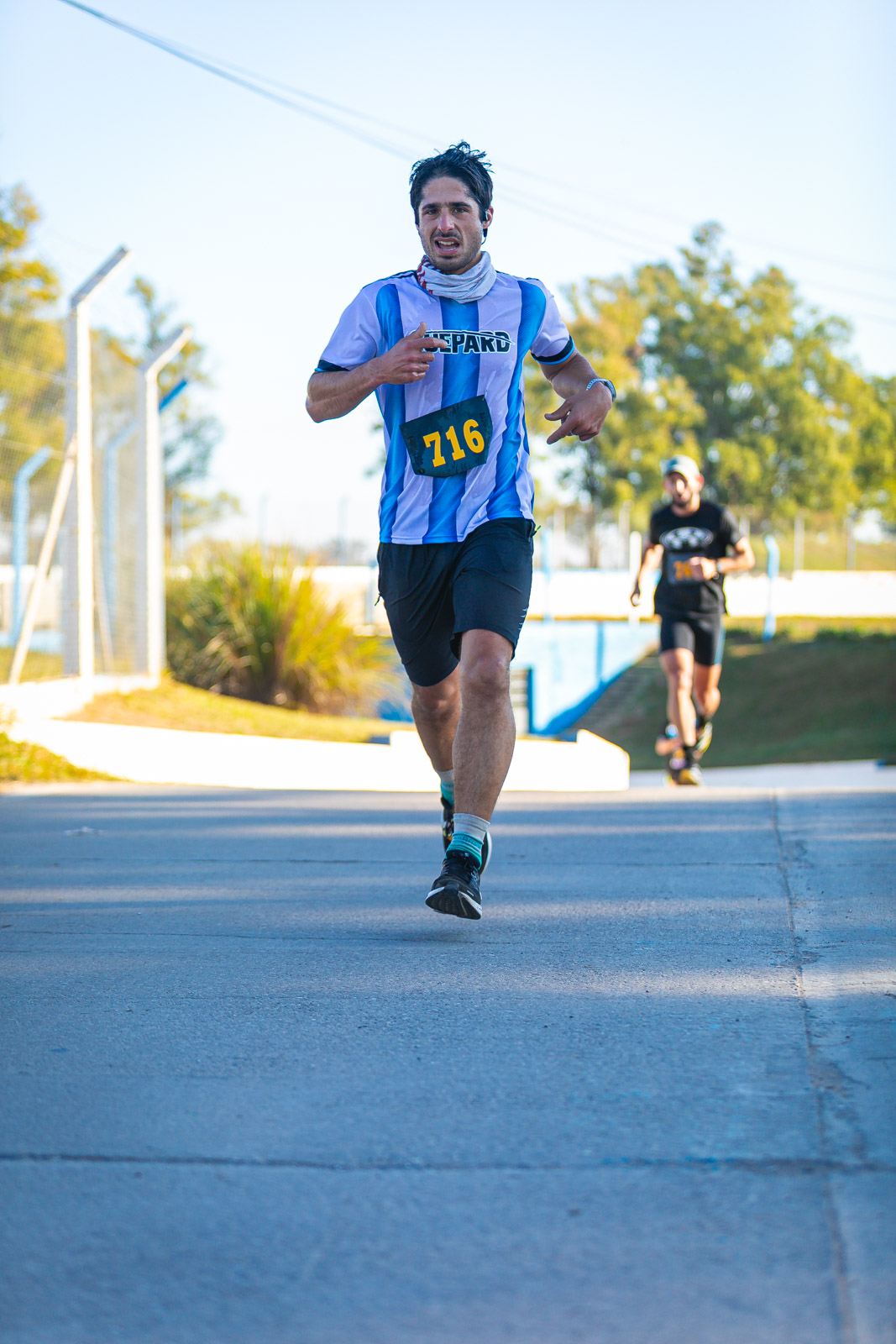 Foto Dorsal 716